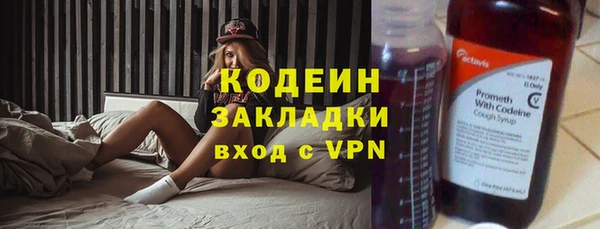 прущие грибы Балахна