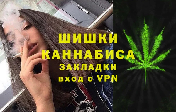 индика Баксан