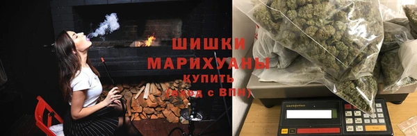 прущие грибы Балахна