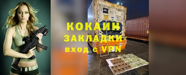 прущие грибы Балахна