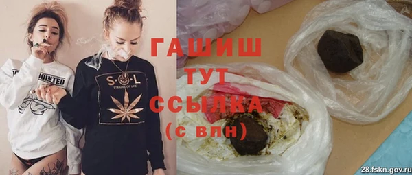 индика Баксан