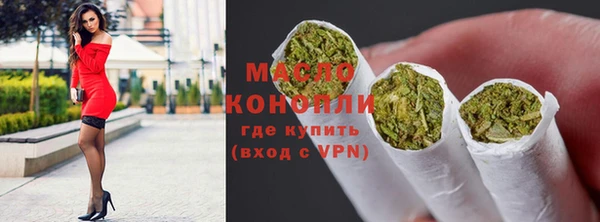 индика Баксан