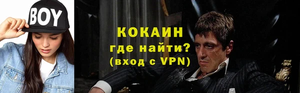 прущие грибы Балахна