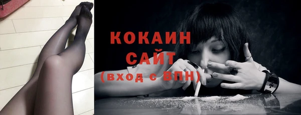 прущие грибы Балахна