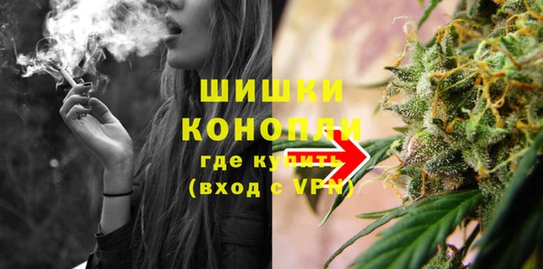 прущие грибы Балахна