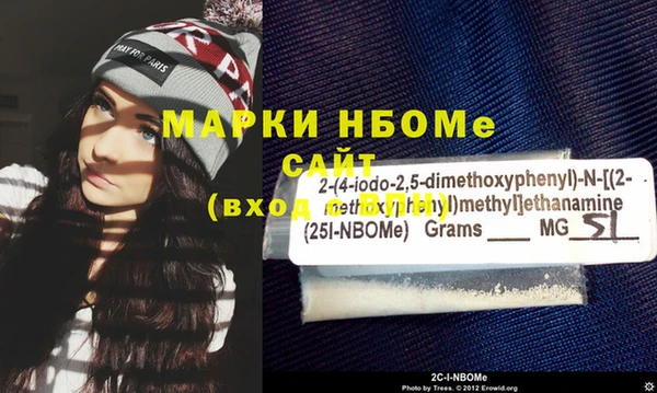 прущие грибы Балахна