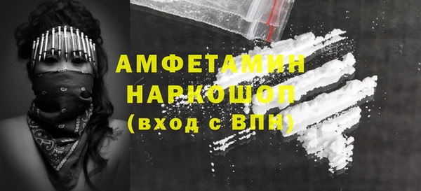 индика Баксан