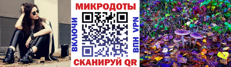 Галлюциногенные грибы Magic Shrooms Суджа