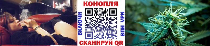цена   Суджа  Канабис гибрид 